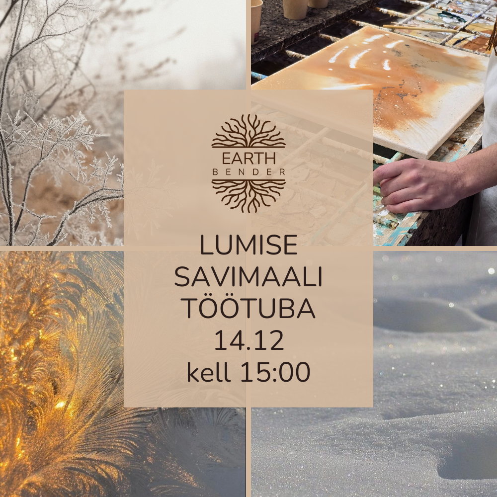 Lumise savimaali töötuba 14.12